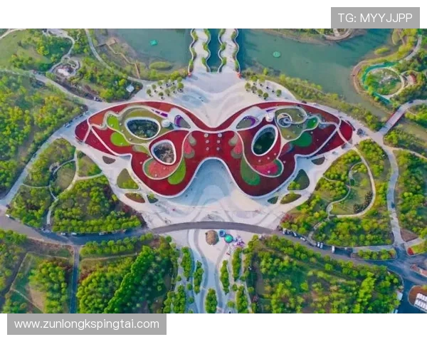 尊龙新版玩法规则优化方案，提升玩家体验与游戏公平性的实用建议